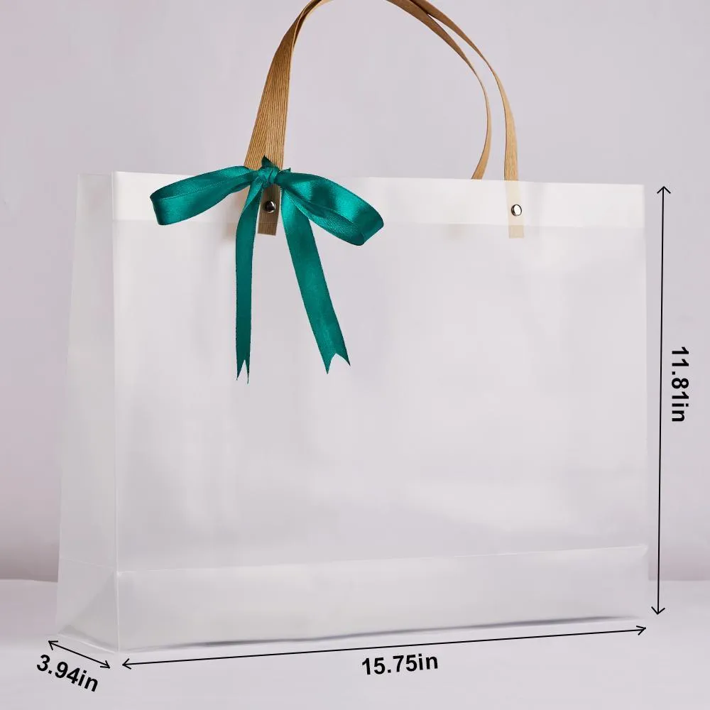 Bag with Handles Reusable White Frosted Plastic Bag for Gift